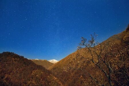 Night view of the autumn forest on the mountains with starry dark sky backgroundの写真素材