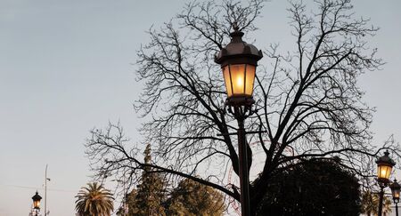 Illuminated old style lamp post in front of a leafless tree