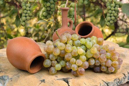 Georgian traditional decorative jugs for wine qvevri or kvevri with grape on the wooden log slice, blurred vineyard backgroundの写真素材