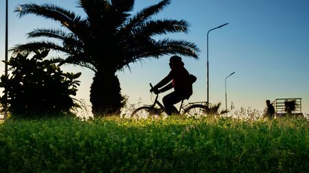 Silhouette of a woman riding the bike at seaside park at sunset with green field foregroundの写真素材