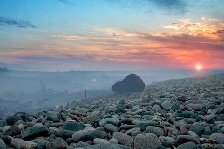 Coast with smoke after wildfire. Burnt wood on the shore at sunsetの写真素材