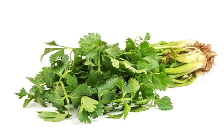Close up view of bunch of fresh green parsley with roots isolated on white background
