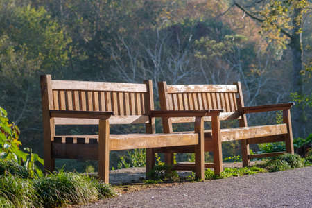 An empty wooden benches illuminated by sunlight in autumn park with colorful trees background