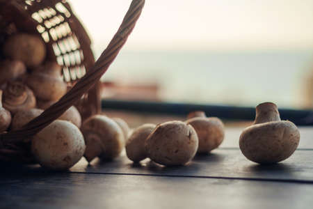 White mushrooms on the wooden rustic table, selective focusの写真素材