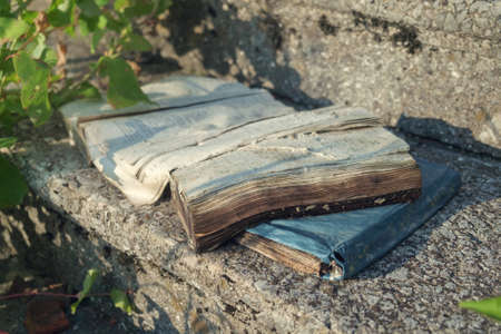 Spoiled old  shabby books on the stair step illuminated with sunlightの写真素材