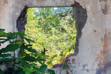 View of a garden from the broken hole in the rusty wallの写真素材