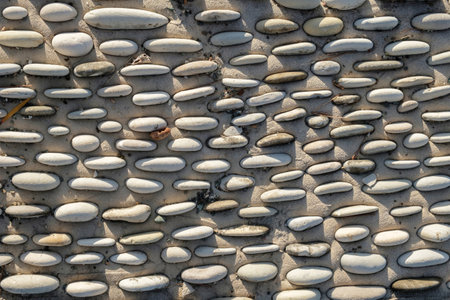 Decorative path made with white pebble stones illuminated by the sunlight, top view