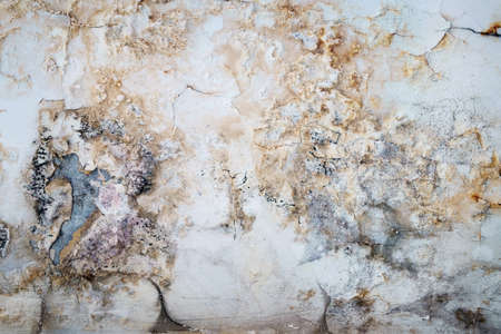 Grunge textured white and gray wall with scratches and cracks