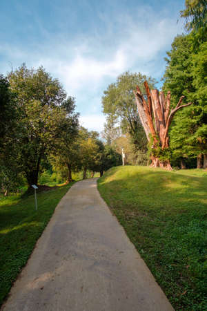 The path in the parkの写真素材