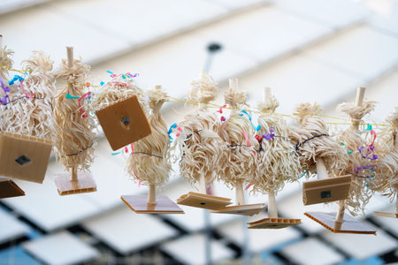 Chichilaki - Georgian Christmas tree made of dried hazelnut branches hanging on the ropeの写真素材