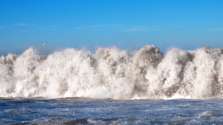A lonely seagull over the white foamy wave, blue sky backgroundの写真素材