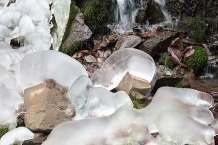 Frozen spring water in the winter forest.の写真素材
