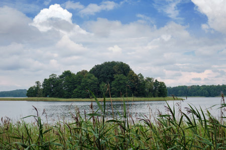 Small island in the lake overgrown with treesの写真素材