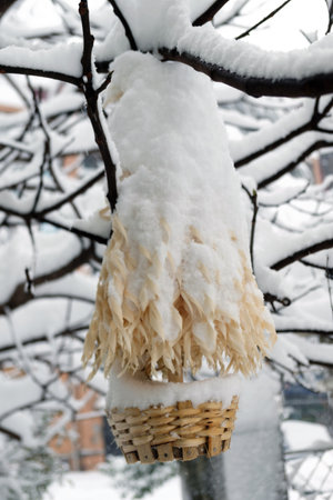 Chichilaki - Georgian Christmas tree chichilaki covered with snowの写真素材