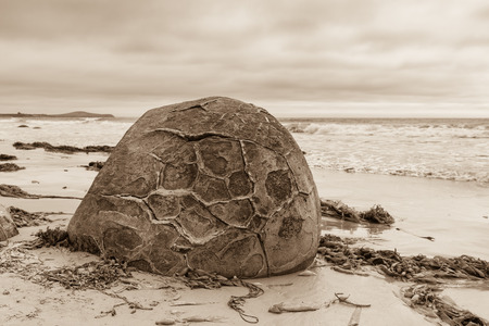 Sepia toned one of the unique Moeraki boulders on a beach in Otago, New Zealandの写真素材