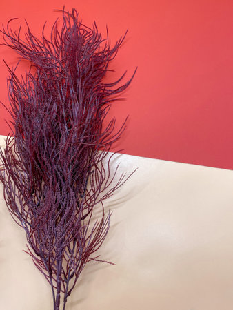 Red branches bouquet on a red beige background with space to copyの写真素材