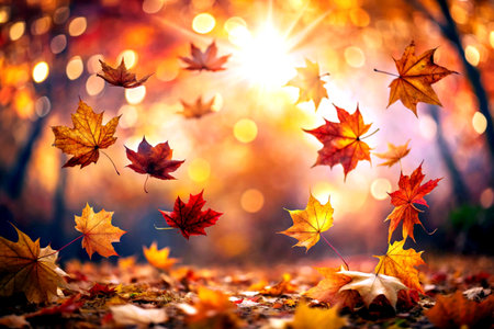 Autumn leaves on the background of the sun and bokehの素材