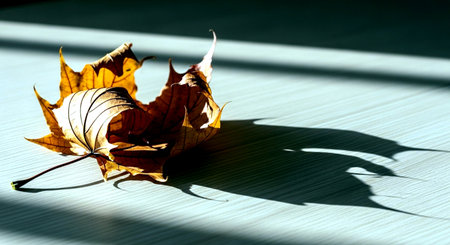 Dry autumn leaves on a wooden table with shadows from the sunの素材