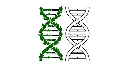 dna molecule with leaves on a white background, vector illustration.の素材