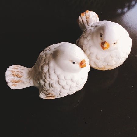 Couple of birdsの素材