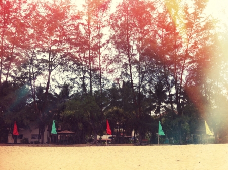 Film burn fx on the beachの素材