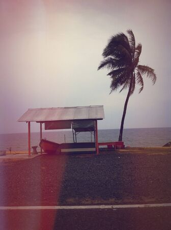 Beach Paka Terengganuの素材