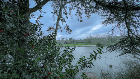 View of a lake in the park with trees and grass in the foreground. Paris, France