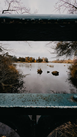 Autumn landscape with lake and trees in cloudy weather. Selective focus.