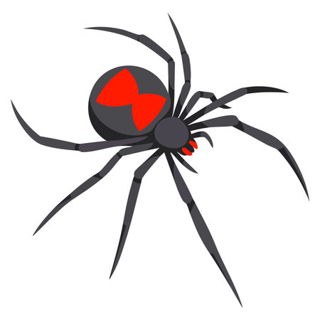 Spider icon isometric illustration of spider vector icon for web design isolated on white background suitable for nature insect wildlife education and UI graphicsのイラスト素材