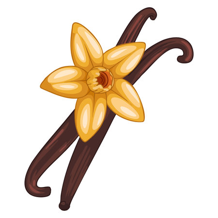 Vanilla flower vector icon presented in flat illustration style ideal for web design food flavor botanical ingredient and natural product themed interfacesのイラスト素材