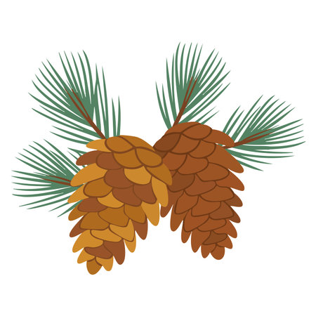 Vector illustration of pinecones on pine branch suitable for nature forest seasonal decoration...