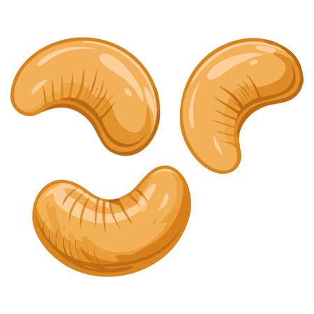 Vector isolated illustration of cashew nuts suitable for food branding snack packaging nutrition visuals grocery product design and healthy eating themed artworkのイラスト素材