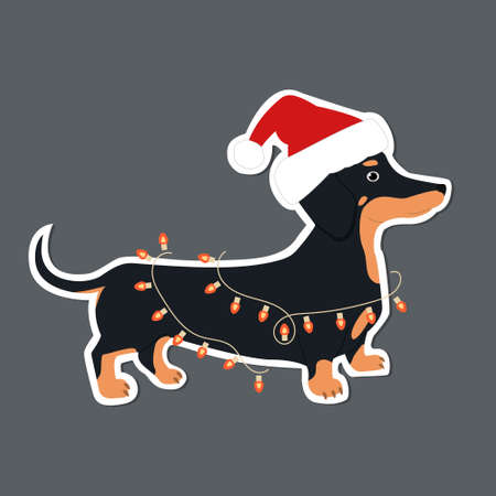 The dachshund got tangled up in a Christmas garland. Cute hand drawn sticker illustration.のイラスト素材