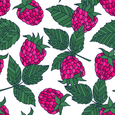 Seamless pattern of hand-drawn raspberry berries and leaves. Colorful vector illustration on white background.のイラスト素材