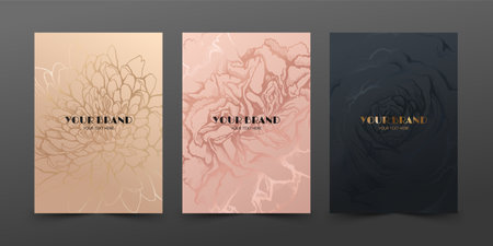 Beautiful tender pink carnation isolated on white background.のイラスト素材