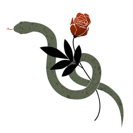 Snake wraps around rose flower. Beautiful graphic illustrationのイラスト素材