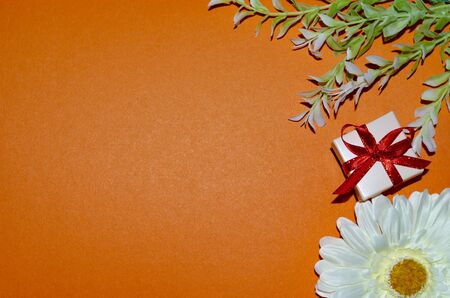 gifts to woman, beautiful gift box abstraction on an orange backgroundの写真素材
