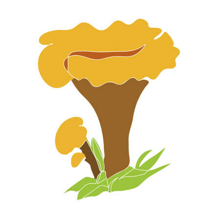Mushroom icon is drawn in a flat style. Color vector illustration.のイラスト素材