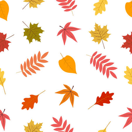 Seamless pattern of autumn leaves.Vector illustration isolated on white backgroundのイラスト素材