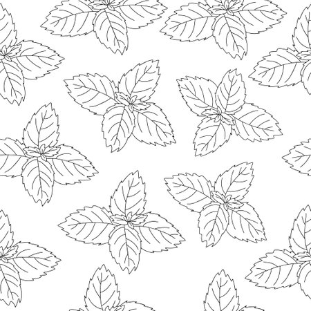 Seamless pattern of mint leaf icon. Isolated illustration of a mint leaf icon in linear style on a white backgroundのイラスト素材