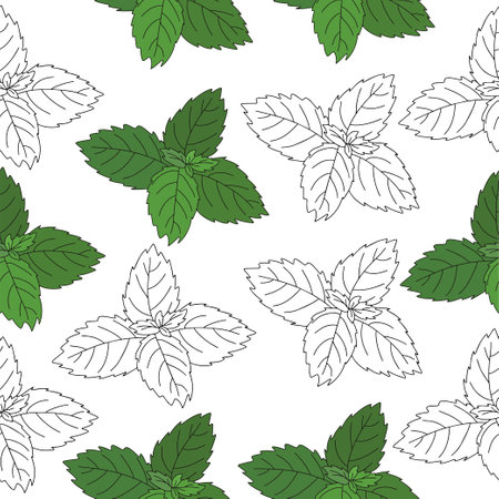 Seamless pattern of mint leaf icon. Isolated illustration of a mint leaf icon in linear style on a white backgroundのイラスト素材