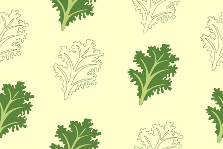 Curly kale, dark green leafy vegetable. Leaf cabbage vector illustration. Green leafy vegetables seamless. Healthy diet, vegetarian food salads, textile print. Vector illustrationのイラスト素材