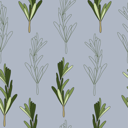 Seamless pattern of green rosemary leaves. Medicinal plant. A fragrant plant for seasoning. Rosemary herb for a design element. Vectorのイラスト素材