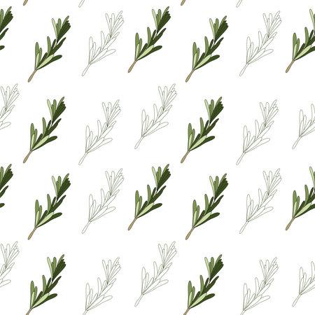 Seamless pattern of green rosemary leaves. Medicinal plant. A fragrant plant for seasoning. Rosemary herb for a design element. Vectorのイラスト素材