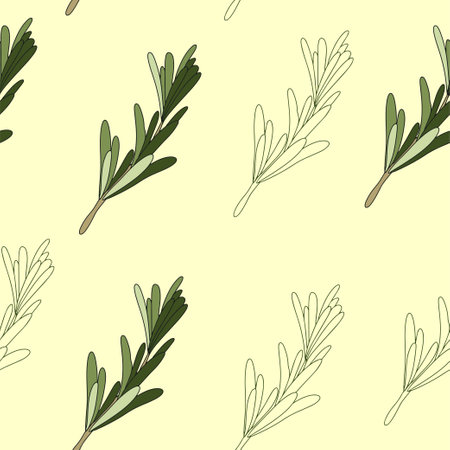 Seamless pattern of green rosemary leaves. Medicinal plant. A fragrant plant for seasoning. Rosemary herb for a design element. Vectorのイラスト素材