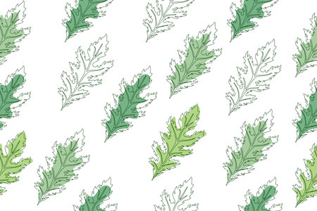 Seamless pattern of green leaves of Mizuna lettuce. Vector illustration of Japanese mustard. Vector illustrationのイラスト素材
