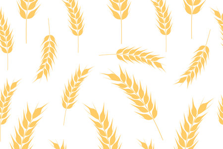 Seamless pattern of ripe wheat spikelets. Agricultural symbol, flour production. Vectorのイラスト素材