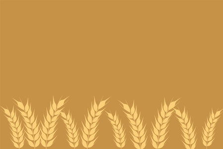 Collection of golden ripe spikelets of wheat. Agricultural symbol, flour production. Vectorのイラスト素材