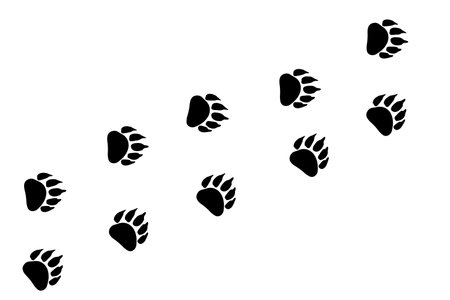 Print of bear's paw, vector. Vector illustrationのイラスト素材