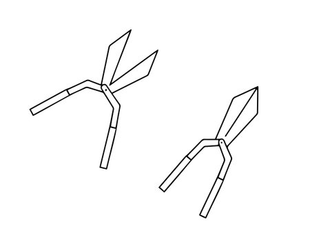 Pruning scissors icon, gardening shears, secateurs or secateurs vector illustration, gardening scissors, branch pruning. Vector illustration in doodle style. Vectorのイラスト素材